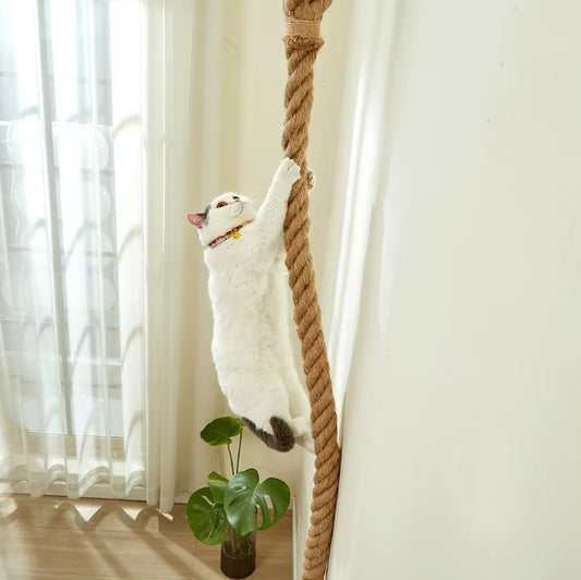 PurrLux Climbing Vine