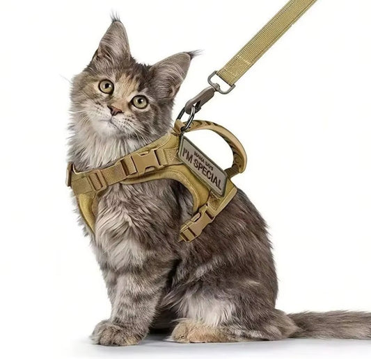 Adjustable Outdoor Cat Harness Vest