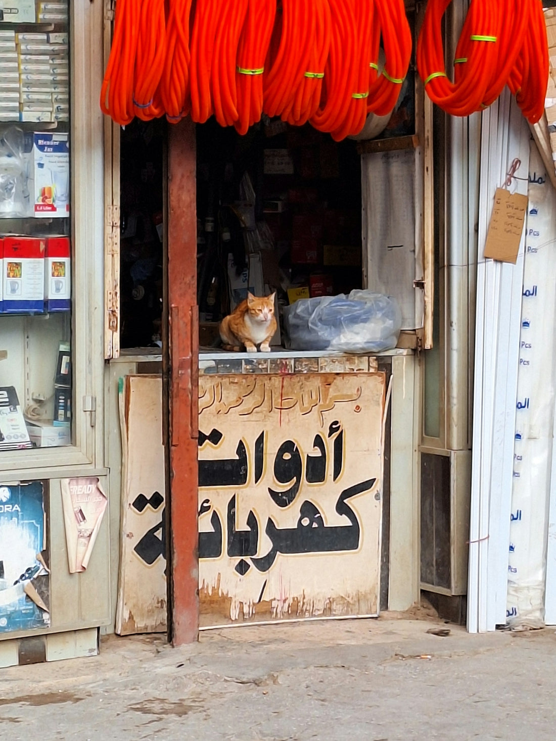 a cat sitting in the window of a store