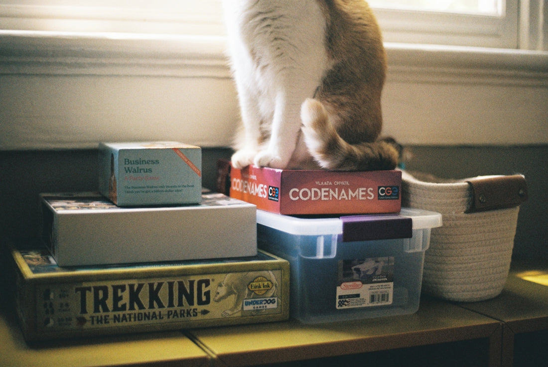 A cat sitting on top of a stack of books