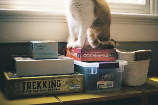 A cat sitting on top of a stack of books
