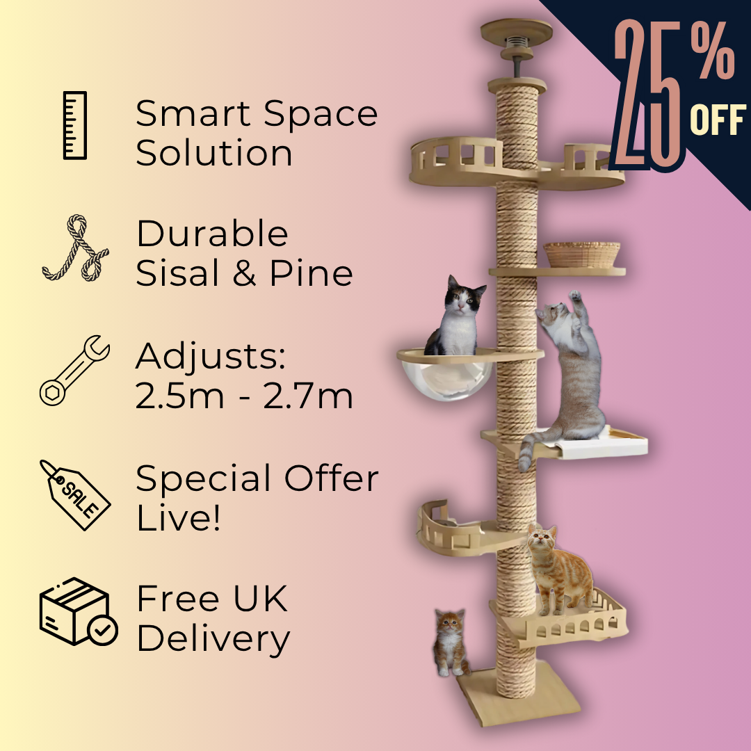 Cat tree with features listed on a pink background