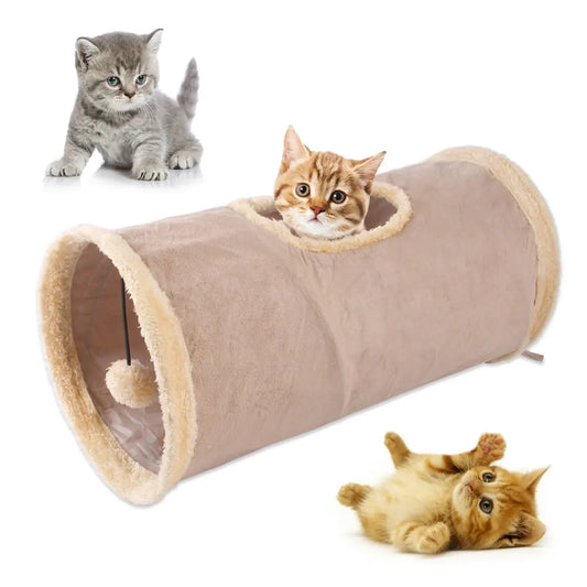 PurrLux Pawsome Pathway