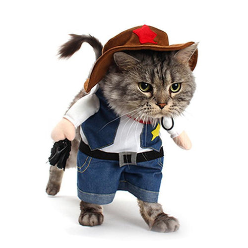 cat cowboy costume