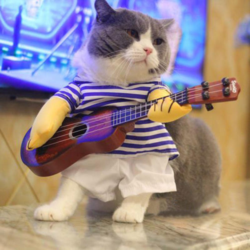 cat rock star musician costume