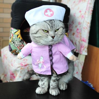 Cat 2025 nurse outfit